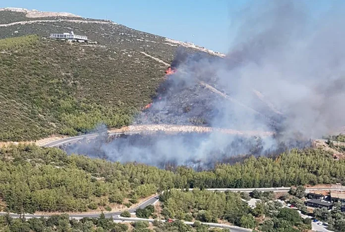 Milas’ta orman yangını