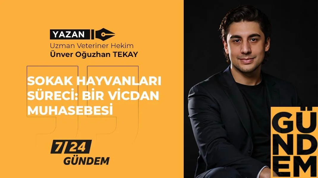 Sokak hayvanları süreci: Bir vicdan muhasebesi