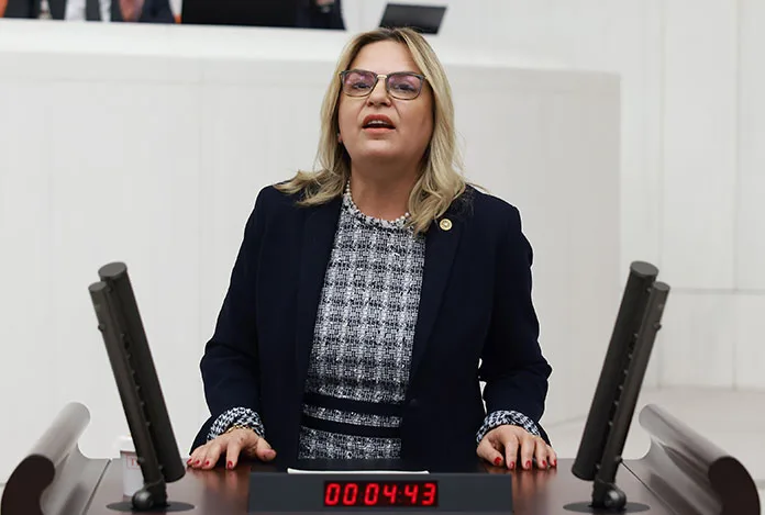 Depremzede kadınların sorunları Meclis’e taşındı