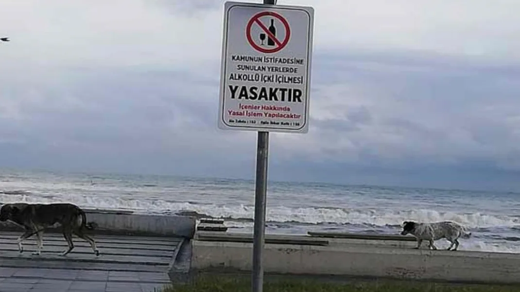 Samsun Valiliği, halka açık yerlerde alkollü içki tüketimini yasakladı