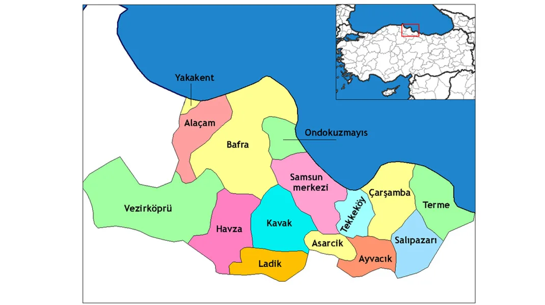 Samsun İlçe İlçe Seçim Sonuçları