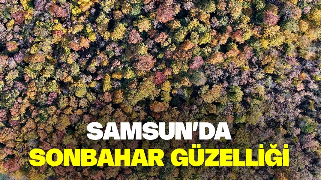 Samsun’da sonbahar güzelliği