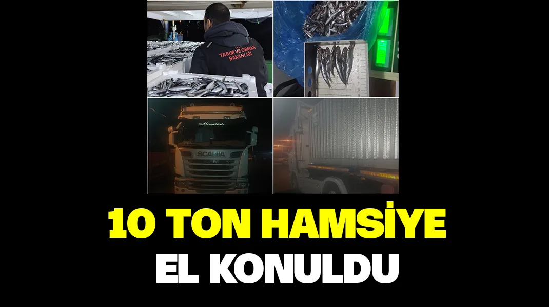 10 ton hamsiye el konuldu
