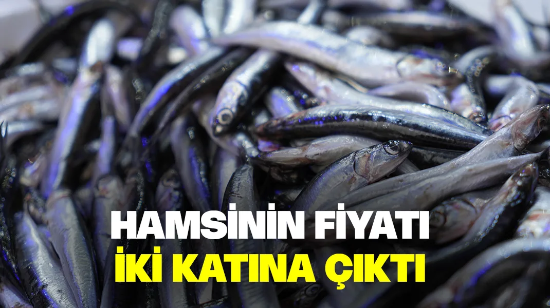Hamsinin fiyatı iki katına çıktı
