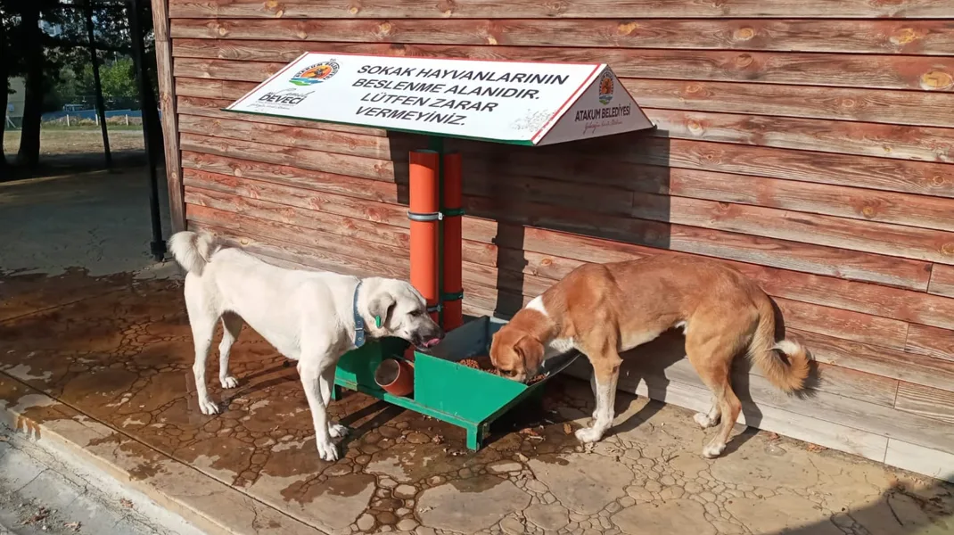 Atakum Belediyesi’nden patili dostlara destek