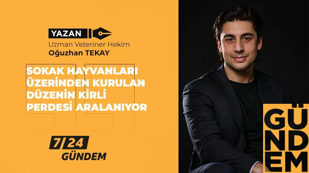 Sokak hayvanları üzerinden kurulan düzenin kirli perdesi aralanıyor