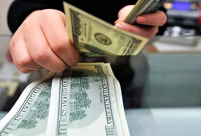 Merkez Bankası’ndan iş dünyasına ‘Dolar satın’ telefonu