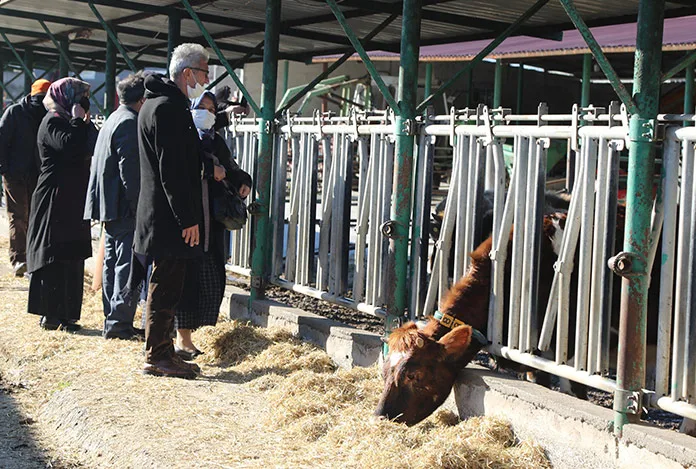Kırsal kalkınmada Jersey hamlesi