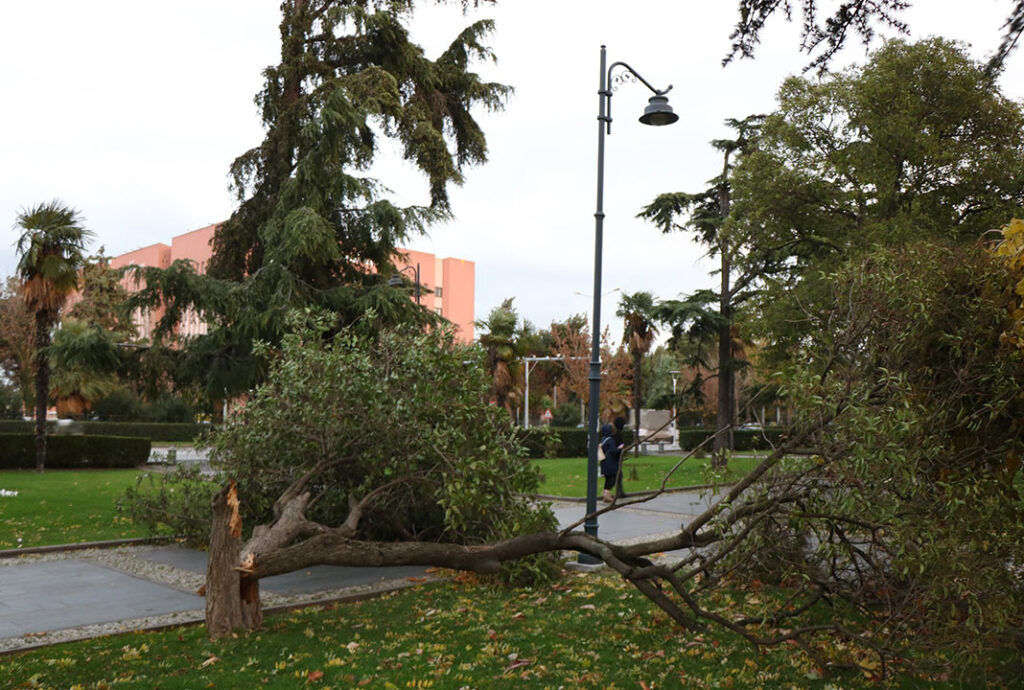 Samsun’da şiddetli fırtına: Yaralananlar var