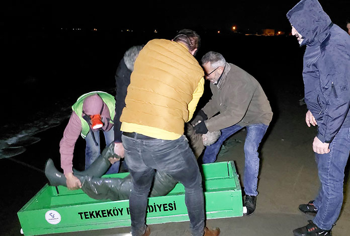 Samsun’da yaşlı adamın acı sonu!