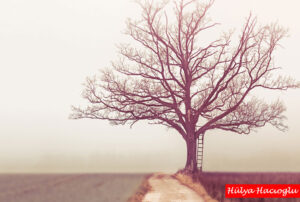 Godot’yu beklemeyelim