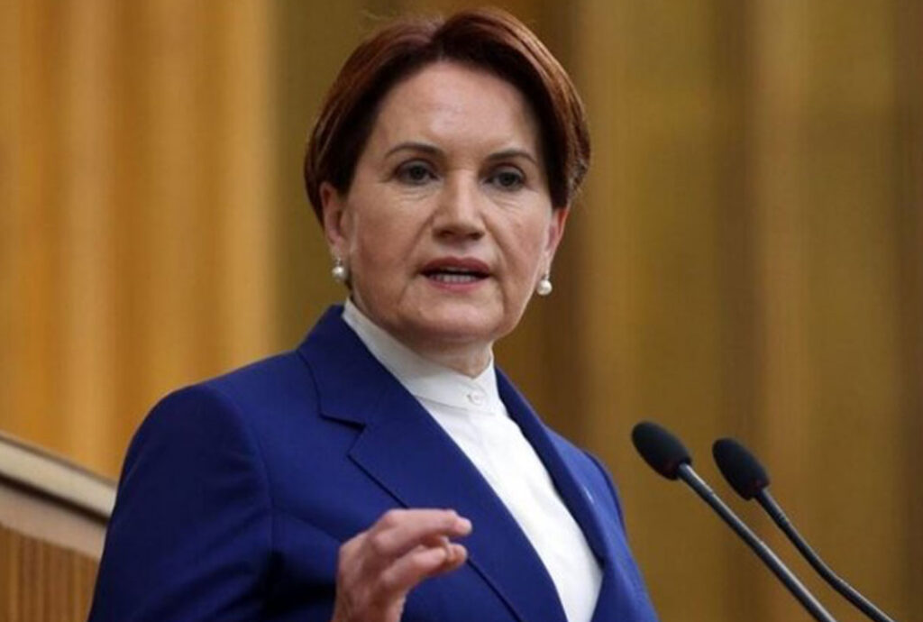 Meral Akşener’i köpek ısırdı