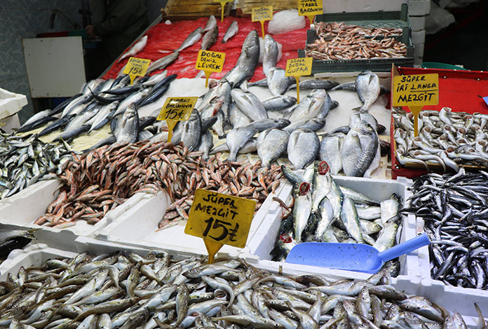 Balığın kulağına kar suyu kaçtı!