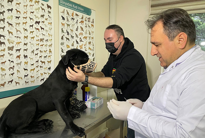 Yasaklı ırklar için son gün