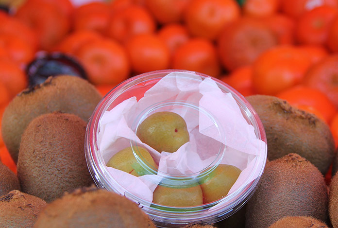 Şili’den geldi: 4 tanesi 50 lira!