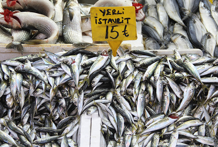 Balık ucuzladı, vatandaş akın etti