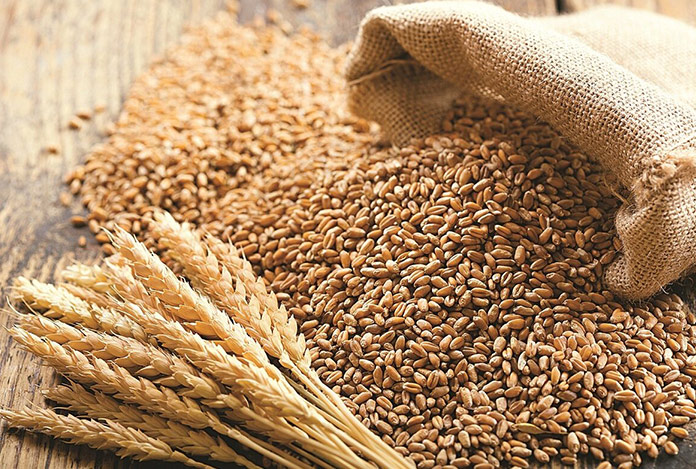 Korkutan uyarı: Gıda kıtlığına hazır olun!