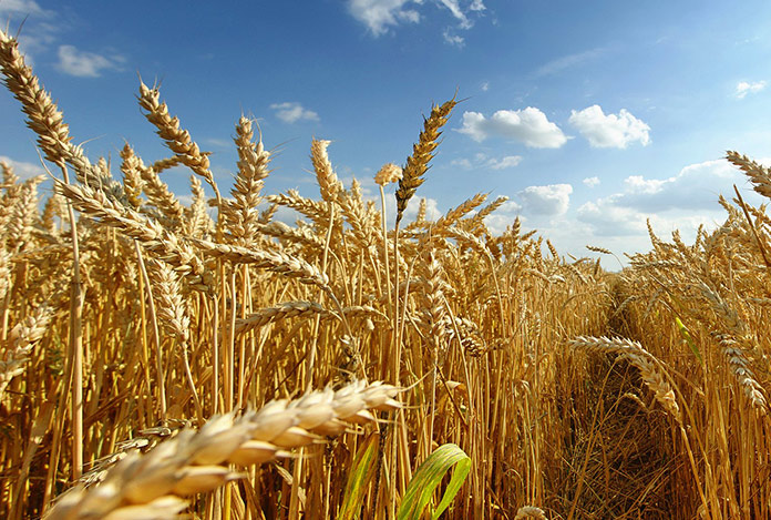 Hammadde trafiği tıkandı: Fiyatlar yükselecek!