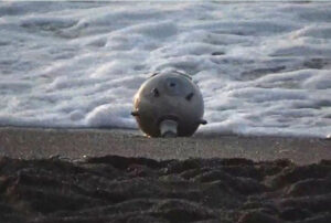 Karadeniz’de büyük tehlike