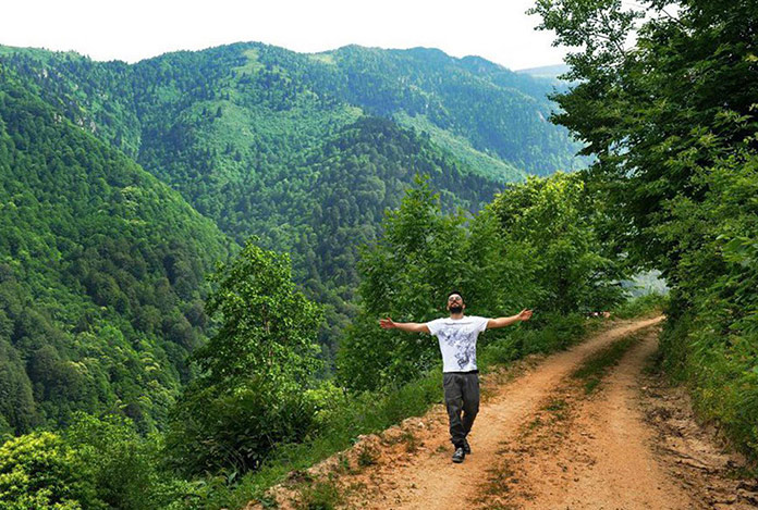 Tarkan’dan zeytin tepkisi: Hem akıldan hem vicdandan yoksun!