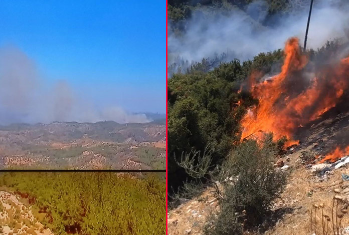 İzmir Seferihisar’da orman yangını