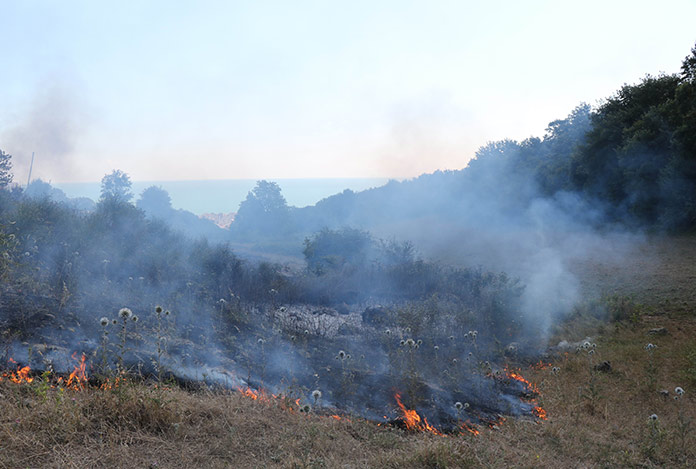 Samsun’da örtü yangını