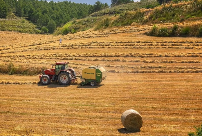Ekilmeyen tarlayı devlet kiralayacak