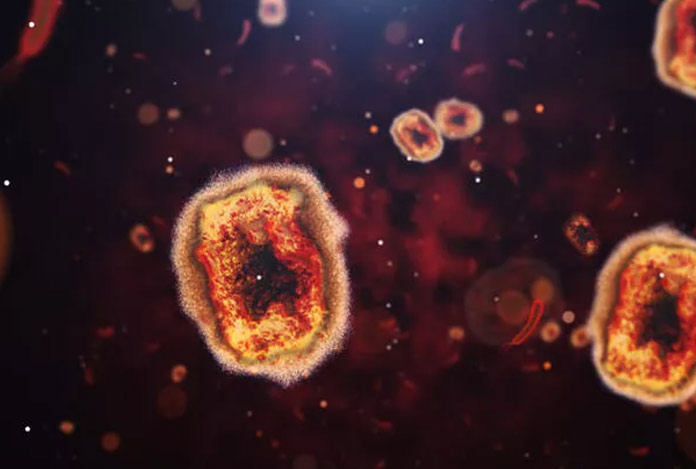 Çin’de yeni ölümcül virüs alarmı