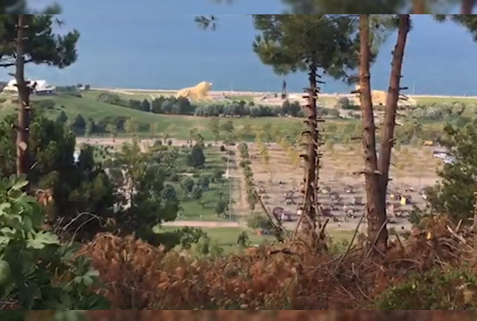 “Kafenin manzarasını kapatan ağaçlar kesildi” iddiası