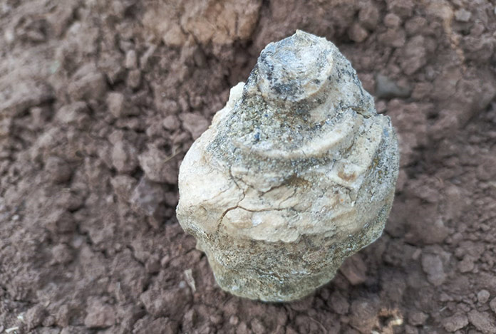 Yozgat’ta deniz fosilleri bulundu: Bir zamanlar deniz mi vardı?