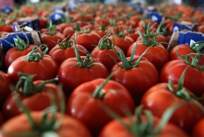 Domates ihracatı izne bağlandı