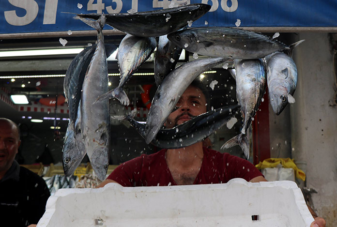 Palamutta fiyat 25 liraya düştü