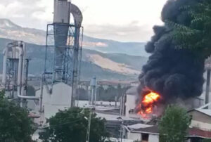 Orman ürünleri fabrikasında yangın