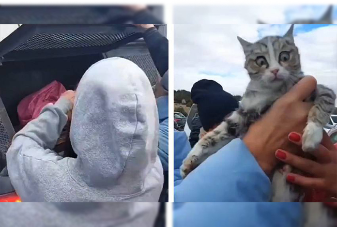 Bu vahşetin hesabını kim verecek?