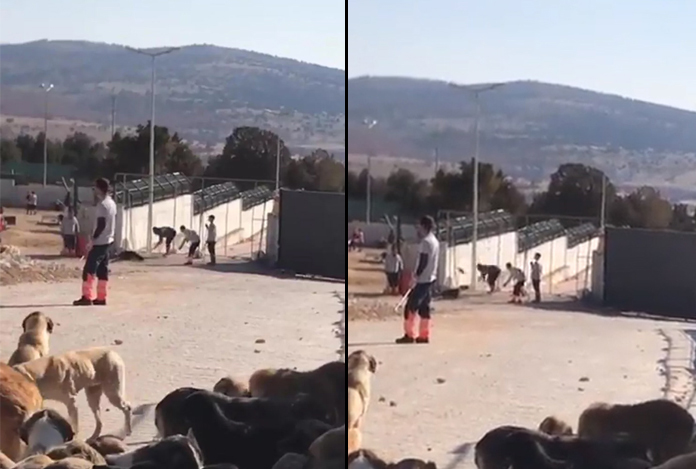 Vahit Kirişci’den hayvan katliamı görüntüleri hakkında açıklama