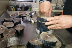 Sinop’ta lakerda festivali