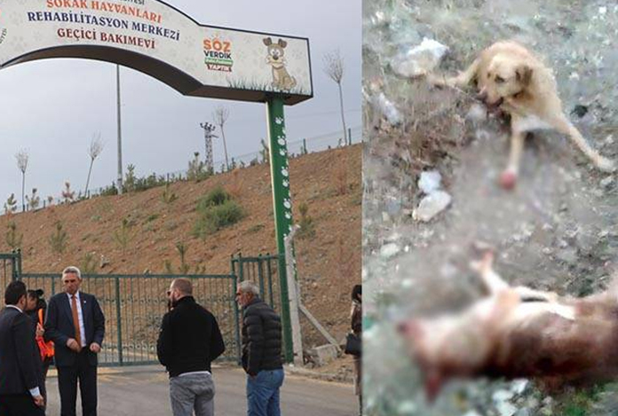 Mamak Belediyesi’nden o görüntüler hakkında açıklama