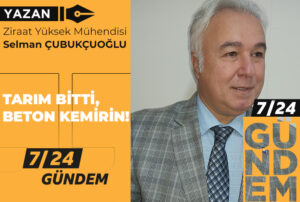 Tarım bitti, beton kemirin!..