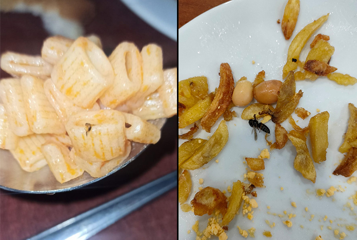 Samsun’da öğrencilerden KYK protestosu: “Her gün arkadaşlarımız zehirleniyor”