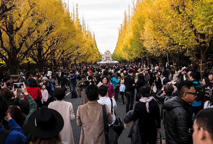 Japonya’da büyük depremler nasıl az hasarla atlatılıyor?