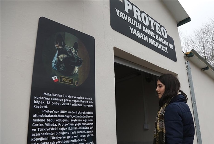 Kahraman arama kurtarma köpeği Proteo’nun adı Samsun’da yaşatılacak