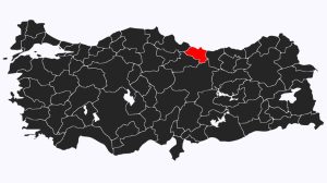 Son Dakika: Ordu Seçim Sonuçları