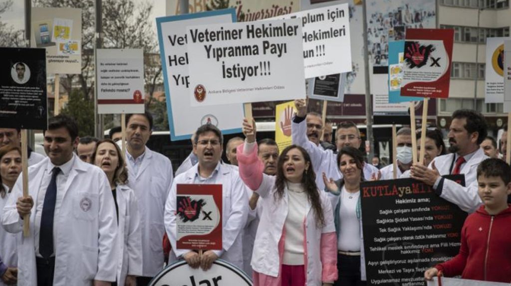 Veteriner hekimler iş bırakacak