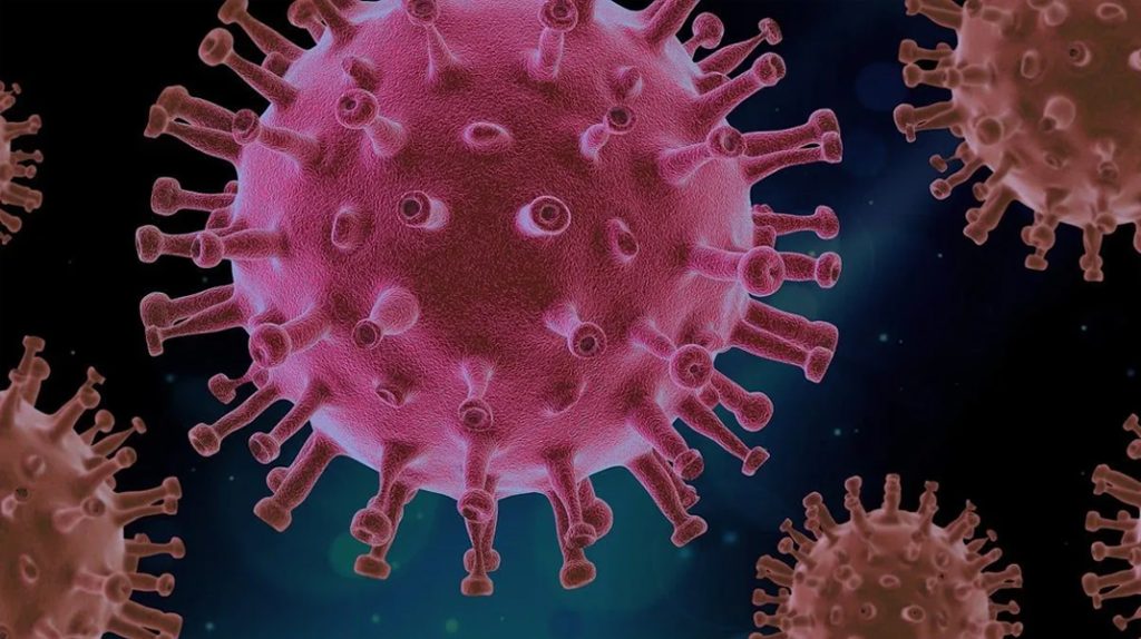 Prof. Dr. Mehmet Ceyhan, Covid-19’un Eris varyantının muhtemelen Türkiye’ye girdiğini söyledi, belirtilere dikkat çekti