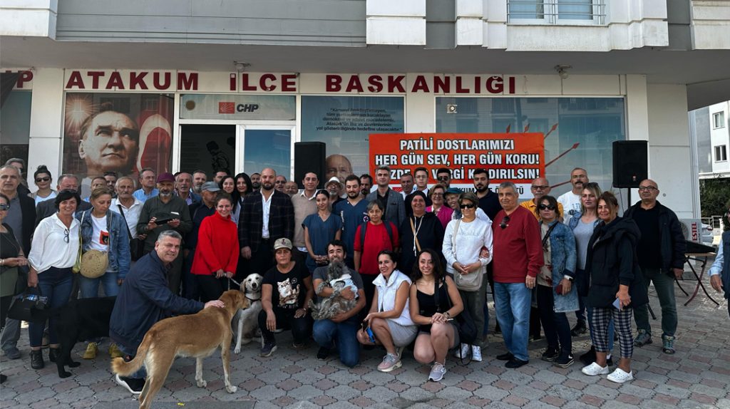 CHP Atakum, patili dostlar için 1 ton mama dağıttı