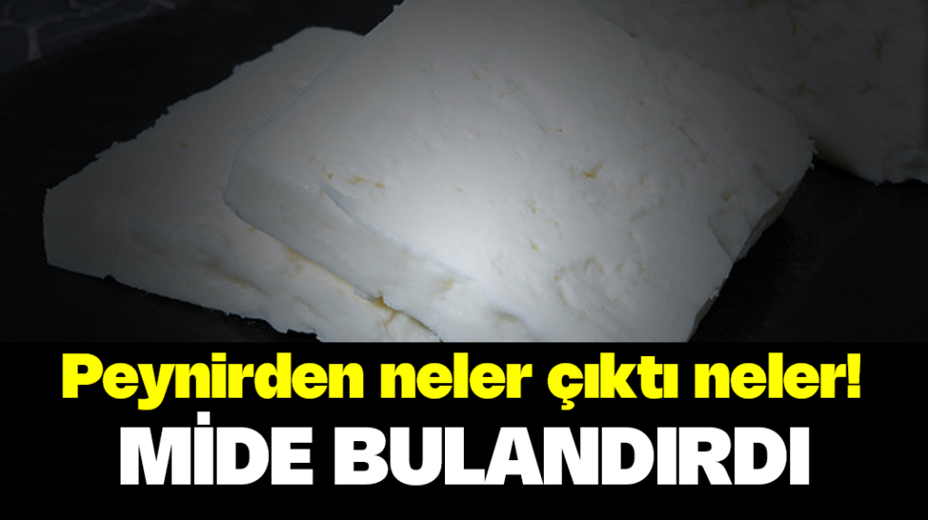 Peynirden neler çıktı neler!