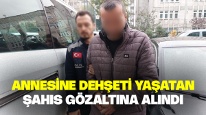 Annesine dehşeti yaşatan şahıs gözaltına alındı
