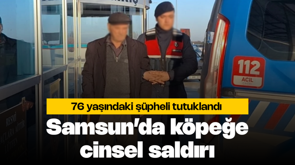 Samsun’da köpeğe cinsel saldırı