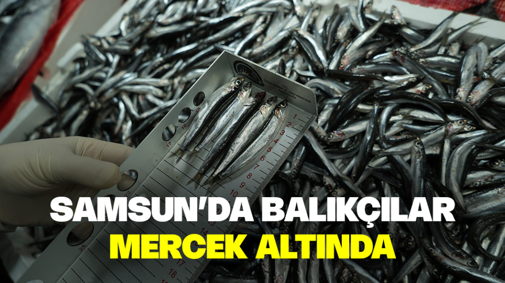 Samsun’da balıkçılar mercek altında