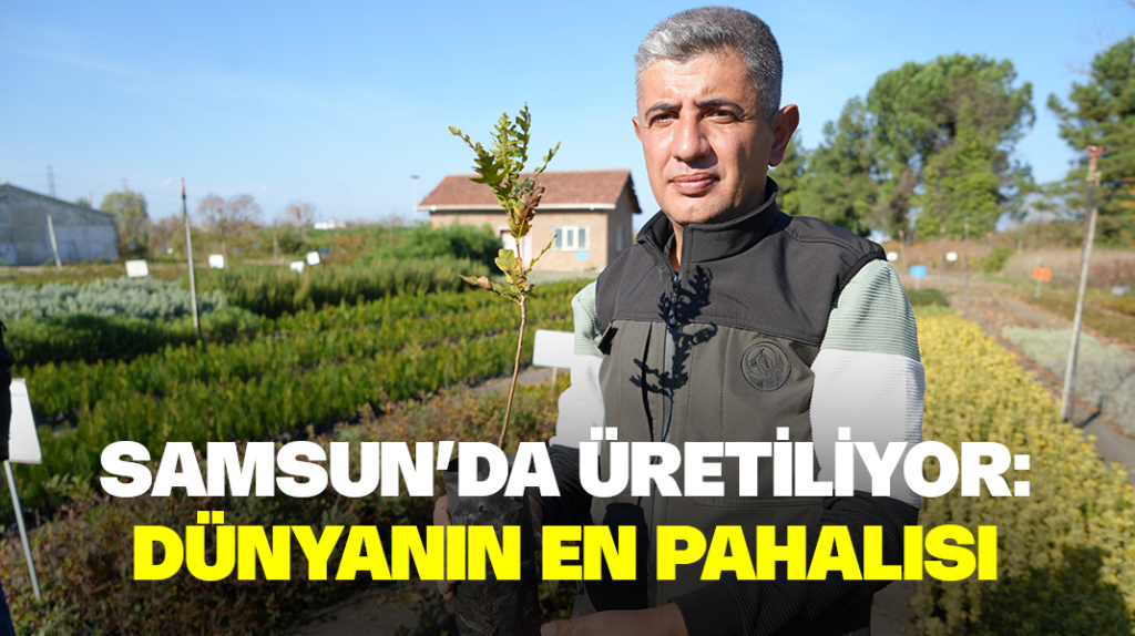 Samsun’da üretiliyor: Dünyanın en pahalısı!